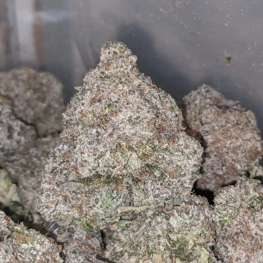 pink kush aaaa 2 I Pink Kush AAAA