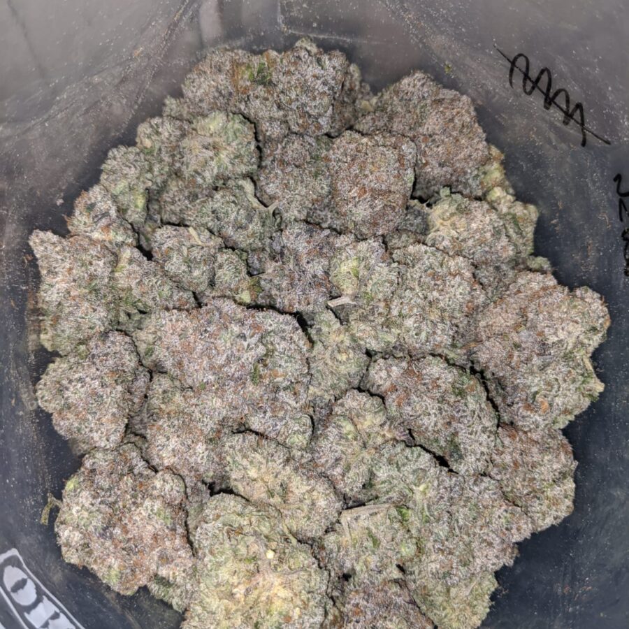 pink kush aaaa 4 I Pink Kush AAAA