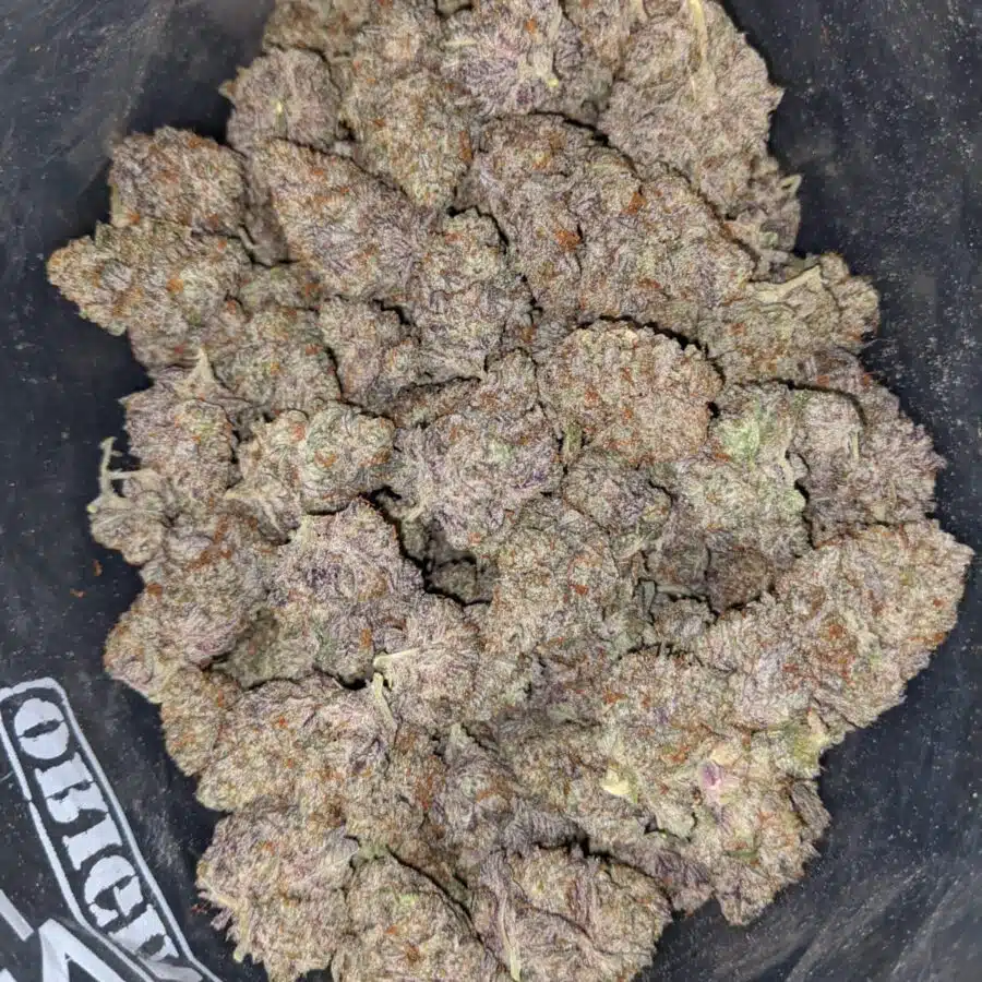 purple icewreck 1 I Purple Icewreck