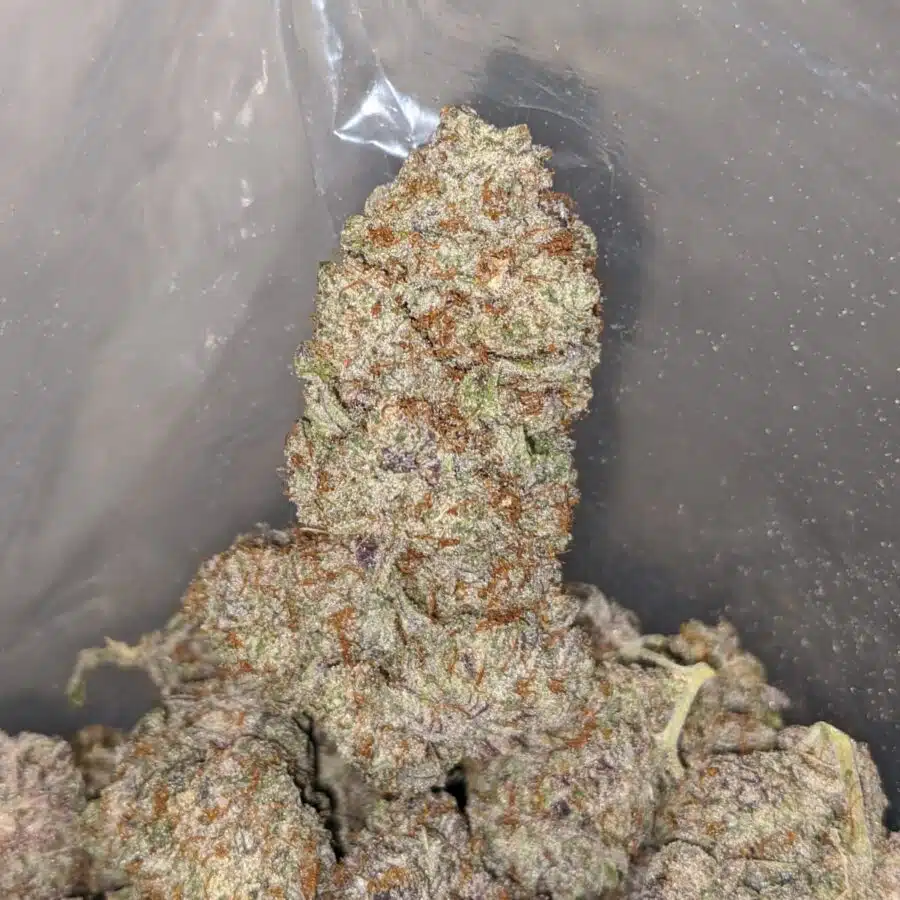 purple icewreck 3 I Purple Icewreck