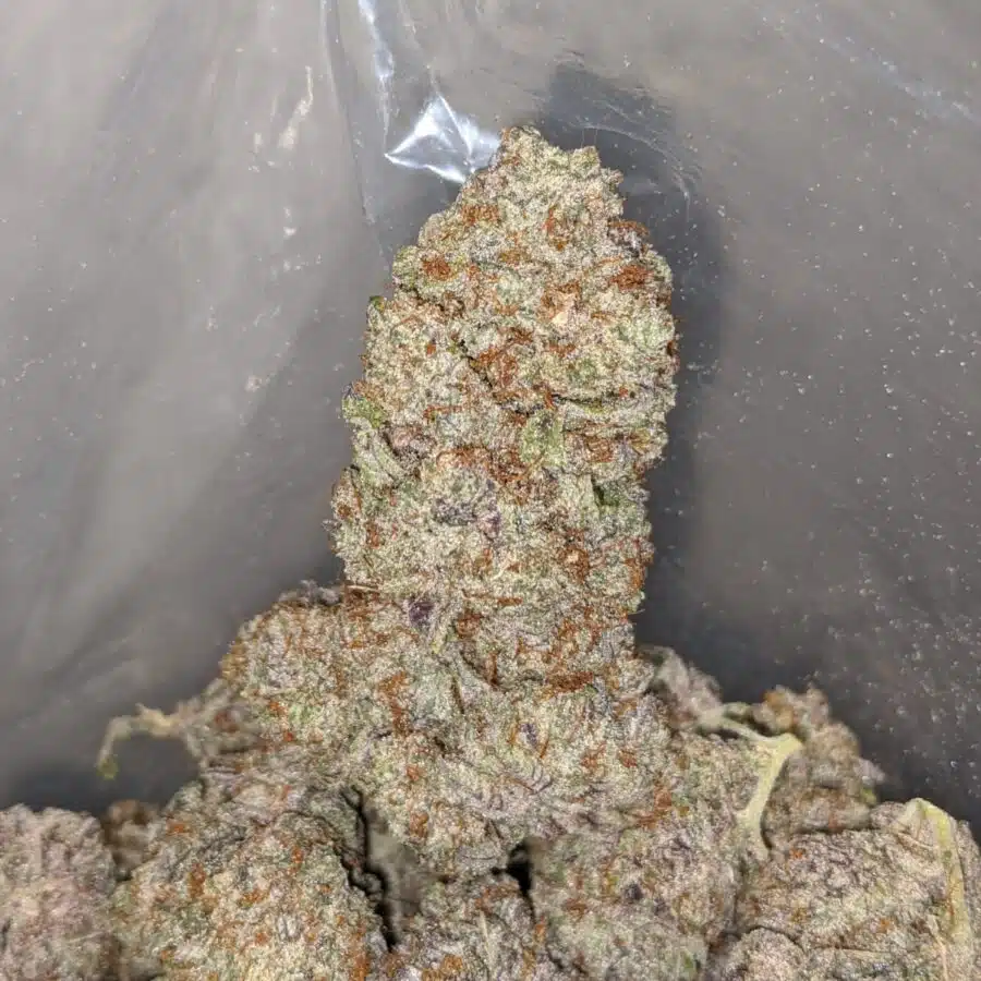 purple icewreck 4 I Purple Icewreck