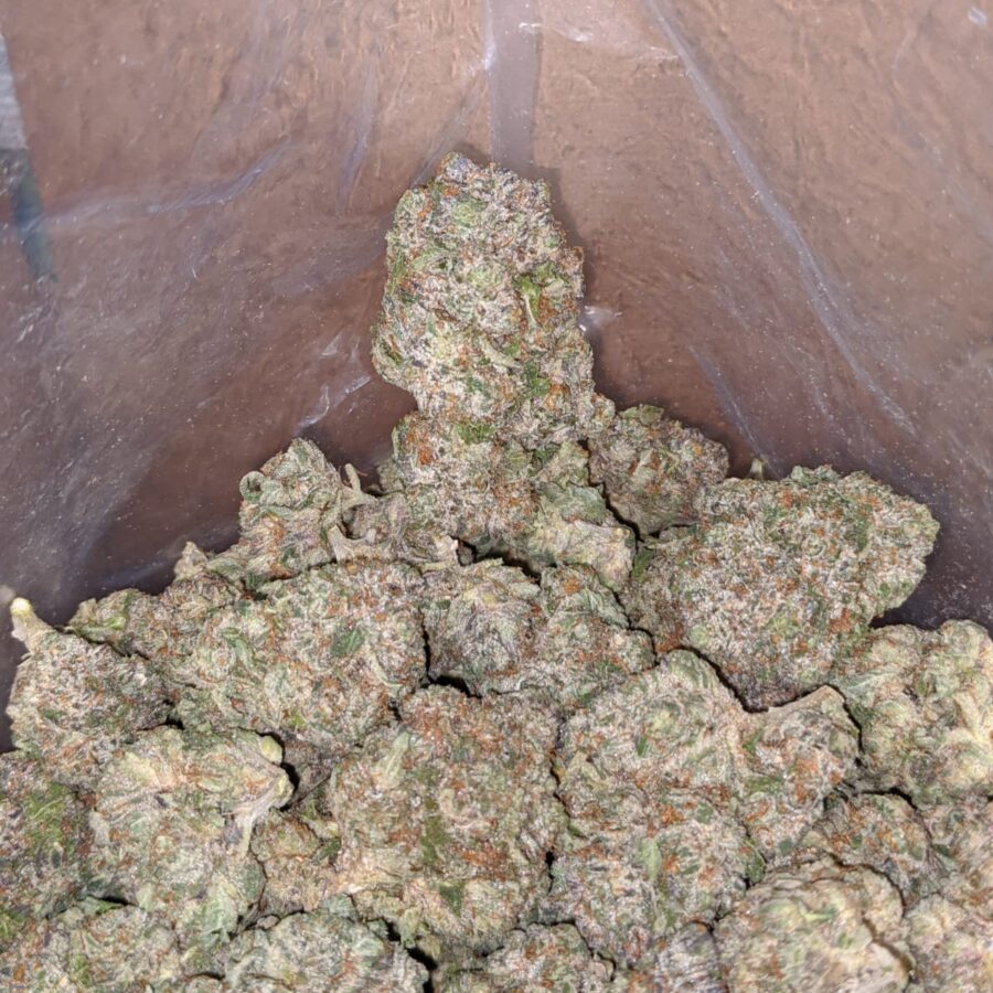 tonys pink rockstar 1 1 I Tony's Pink Rockstar