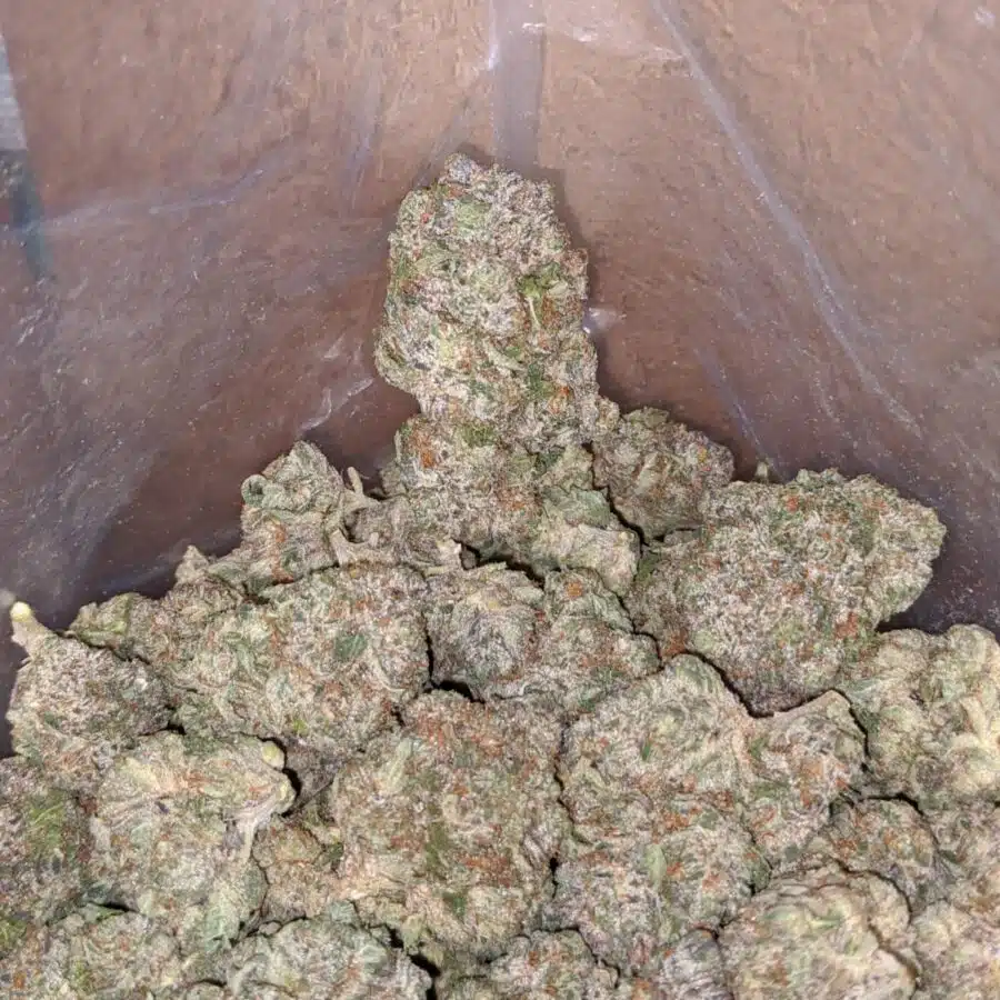 tonys pink rockstar 1 1 I Tony's Pink Rockstar