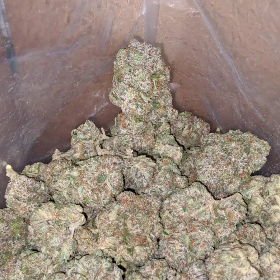tonys pink rockstar 2 1 I Tony's Pink Rockstar