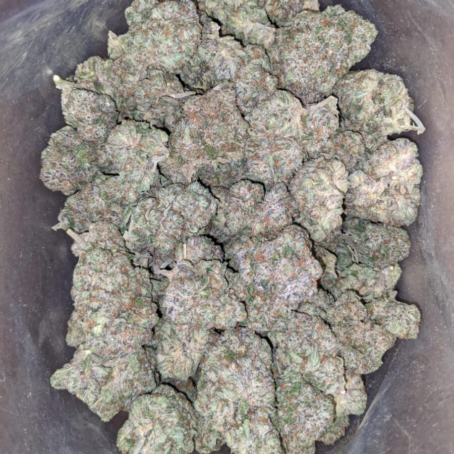 tonys pink rockstar 3 1 I Tony's Pink Rockstar