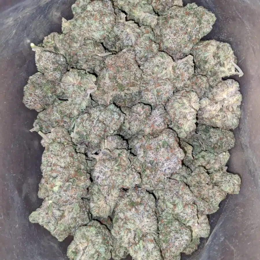 tonys pink rockstar 3 1 I Tony's Pink Rockstar