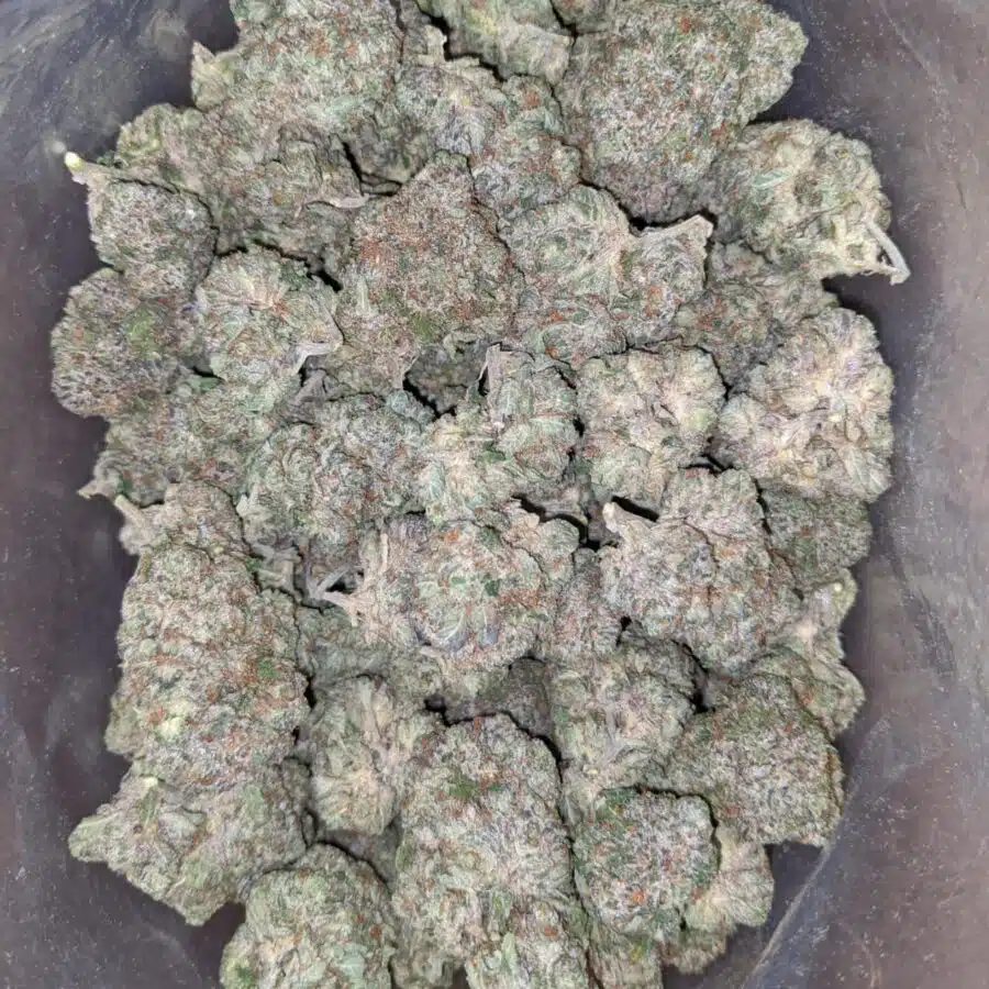tonys pink rockstar 4 1 I Tony's Pink Rockstar