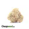 AA Rockbud Bulk Special