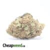 AA Sour Kush