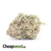 AA Widow Haze