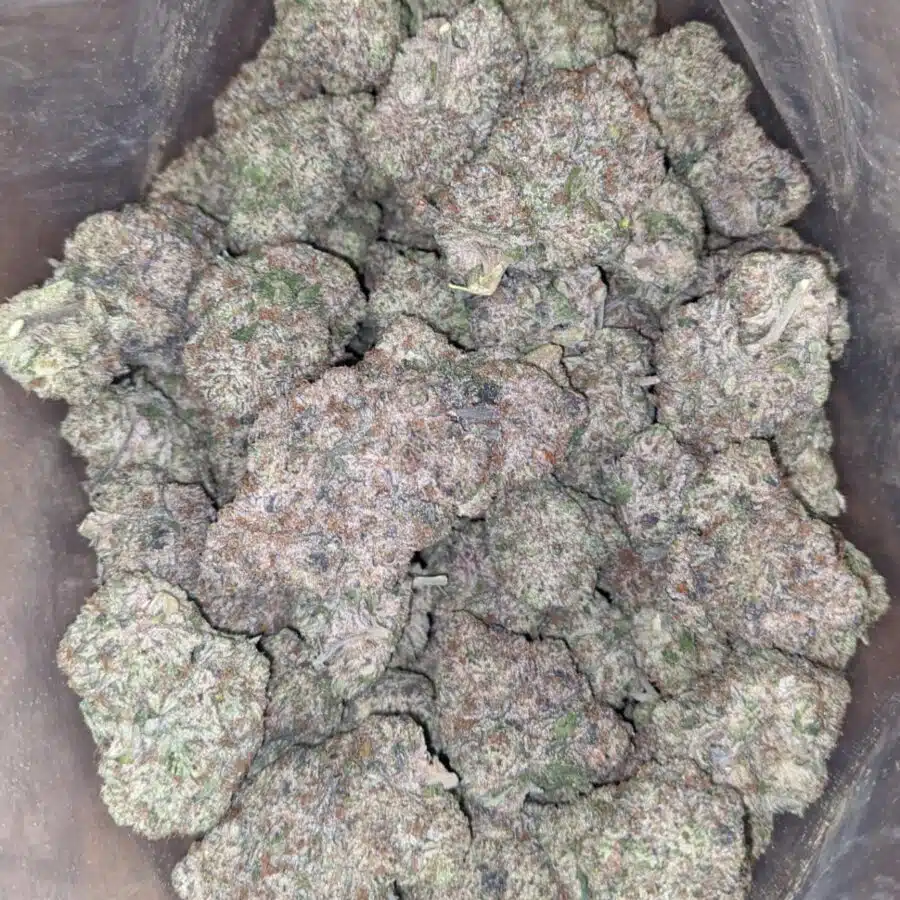 BLUEBERRY CCREAM 2 I Blueberry Creamsicle