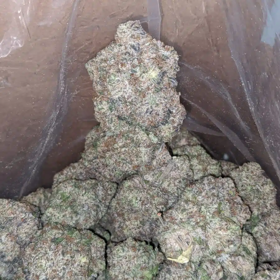BLUEBERRY CCREAM 4 I Blueberry Creamsicle