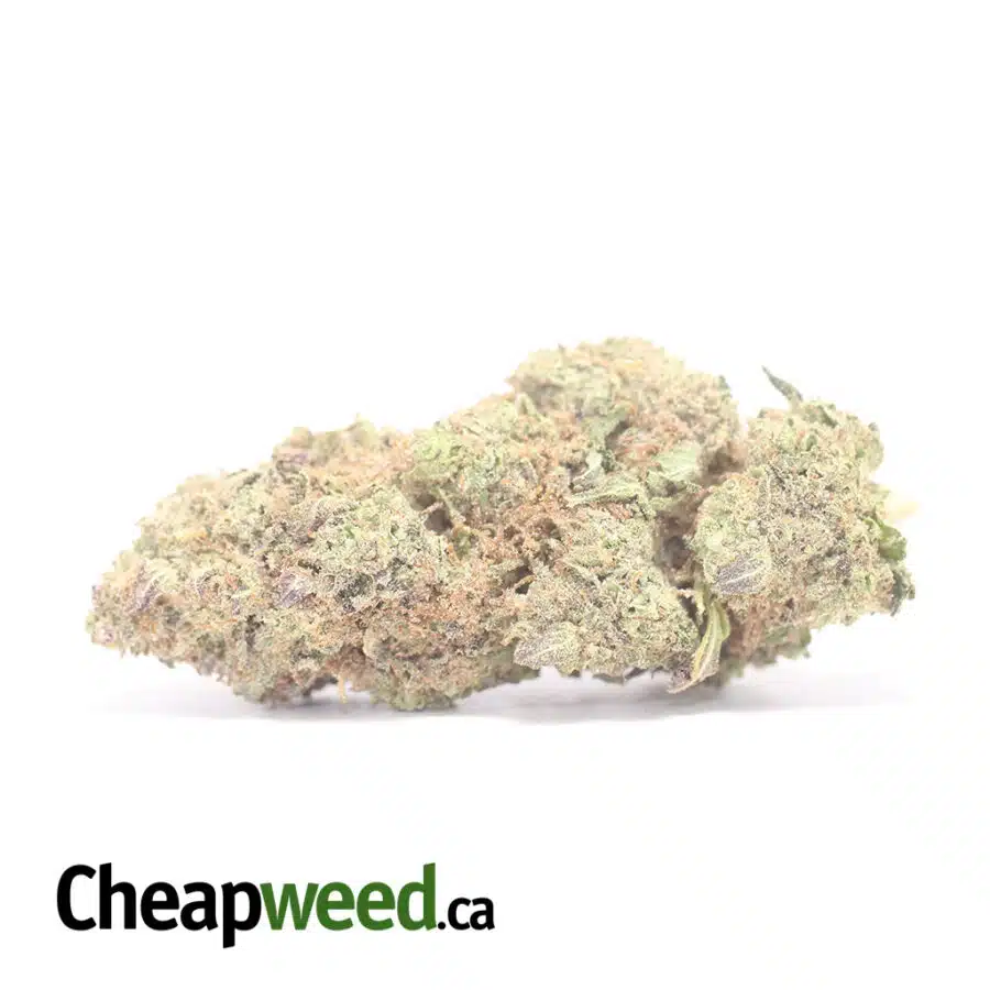 Buddha Berry