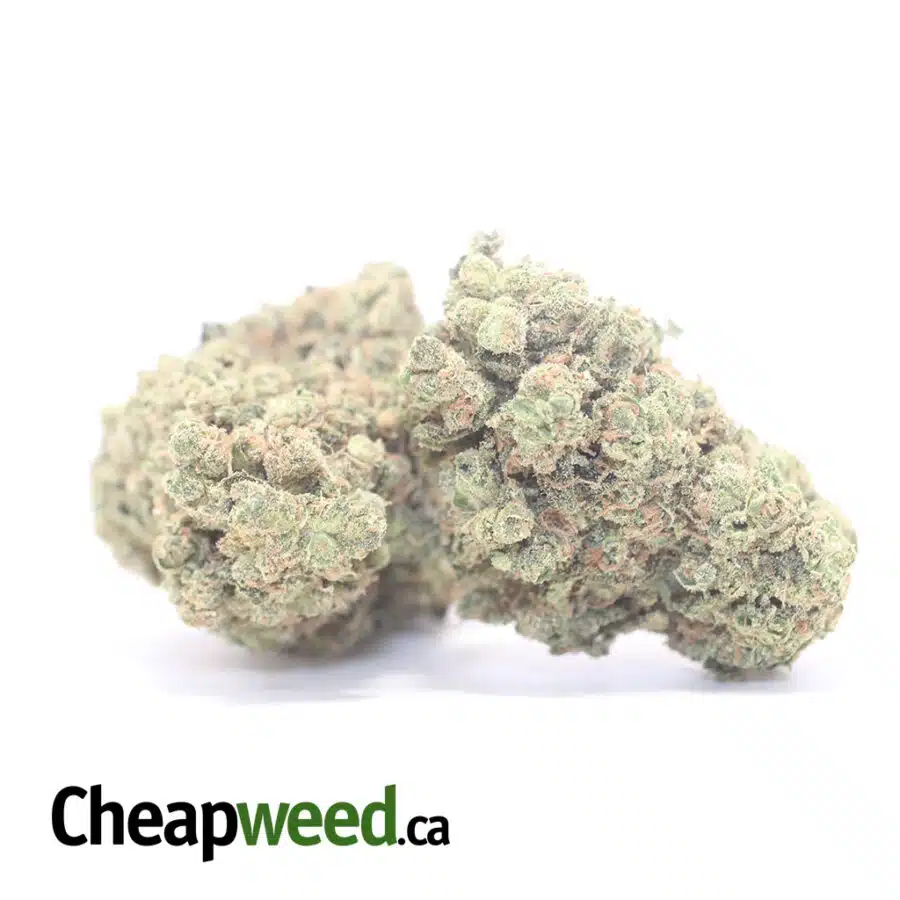 Alternative view of Forum Cut Girl Scout Cookies