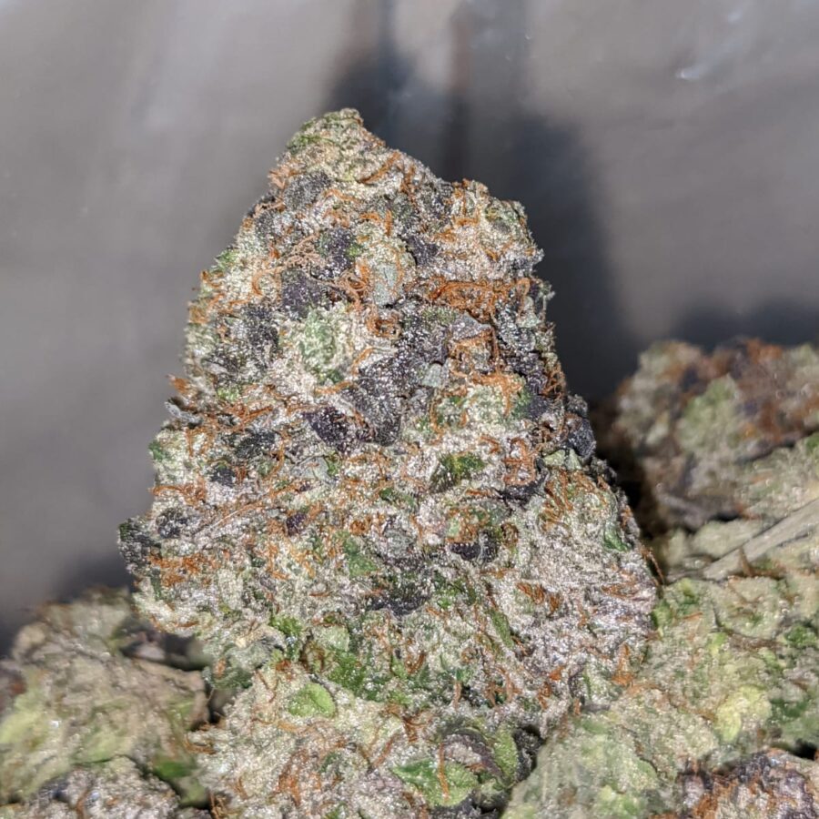 PINK NEBULA 1 I Pink Nebula