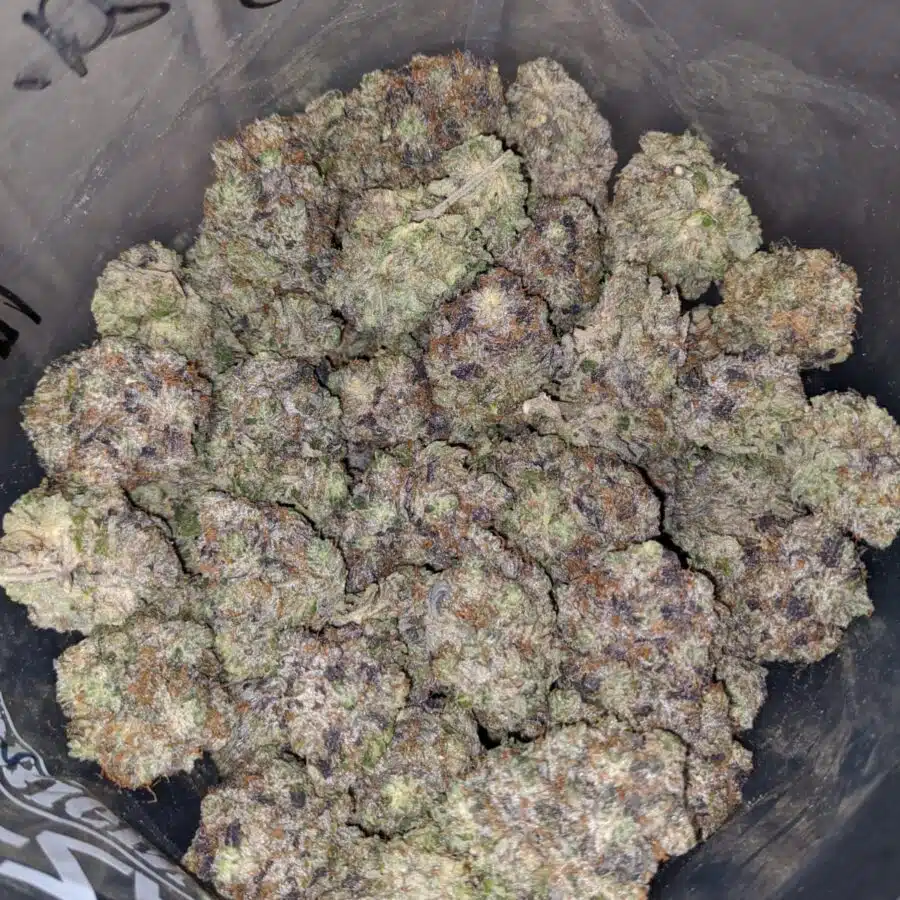 PINK NEBULA 3 I Pink Nebula