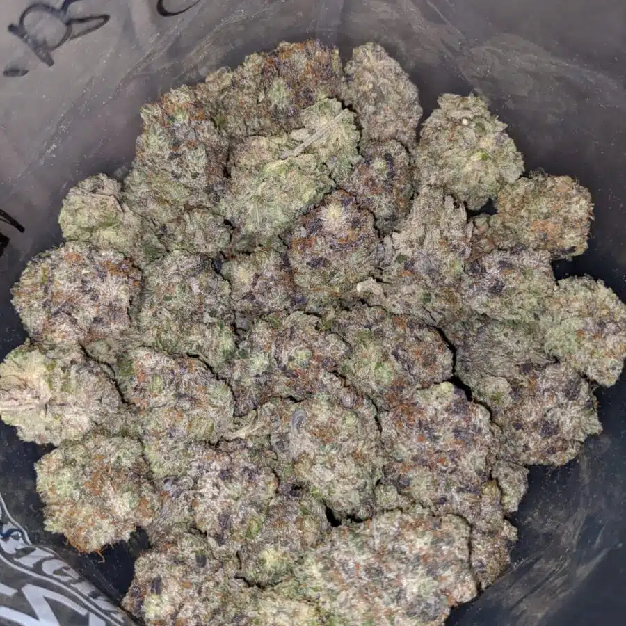 PINK NEBULA 4 I Pink Nebula