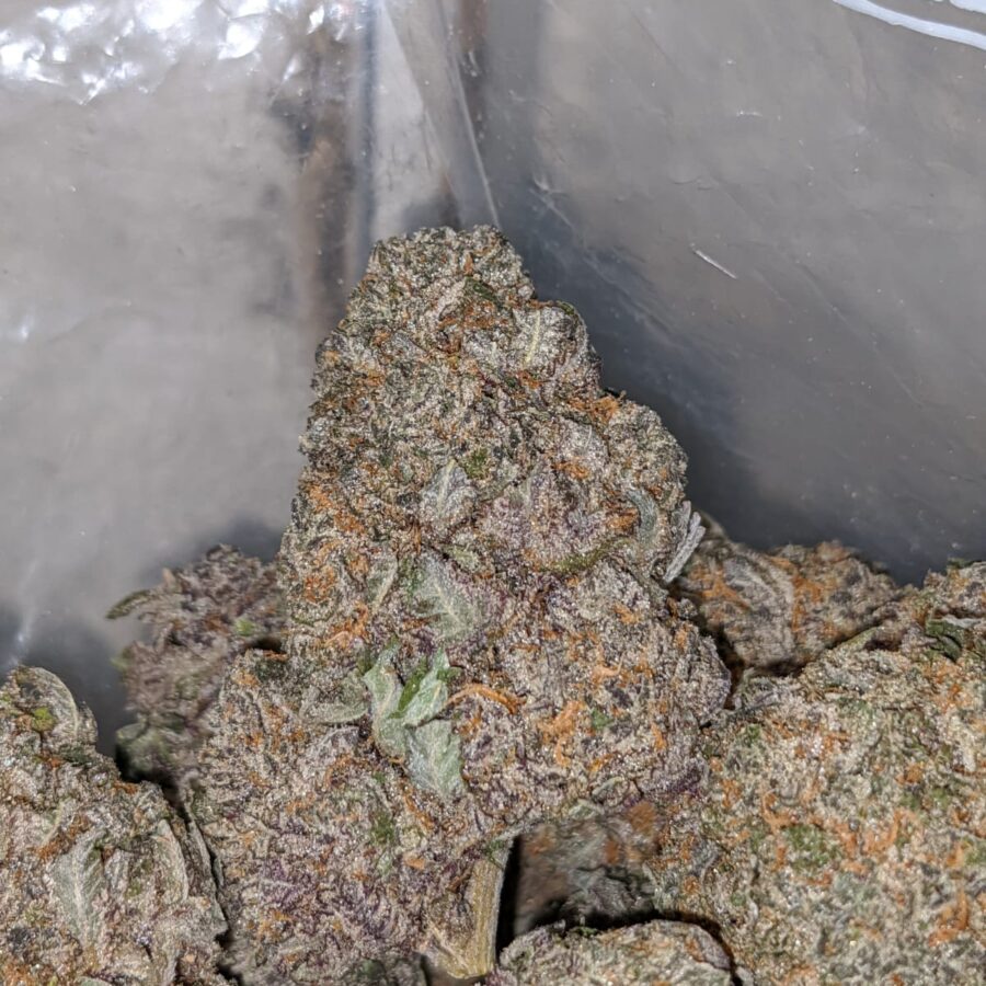 PURPLE HIGH OCTANE 1 I Purple High Octane