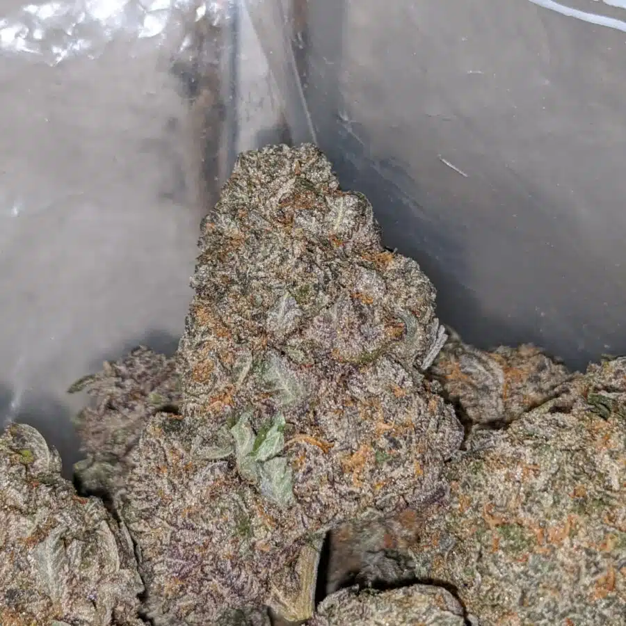 PURPLE HIGH OCTANE 1 I Purple High Octane