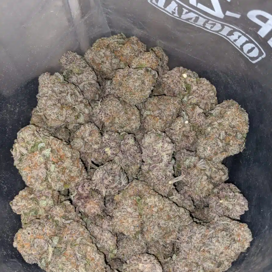 PURPLE HIGH OCTANE 2 I Purple High Octane