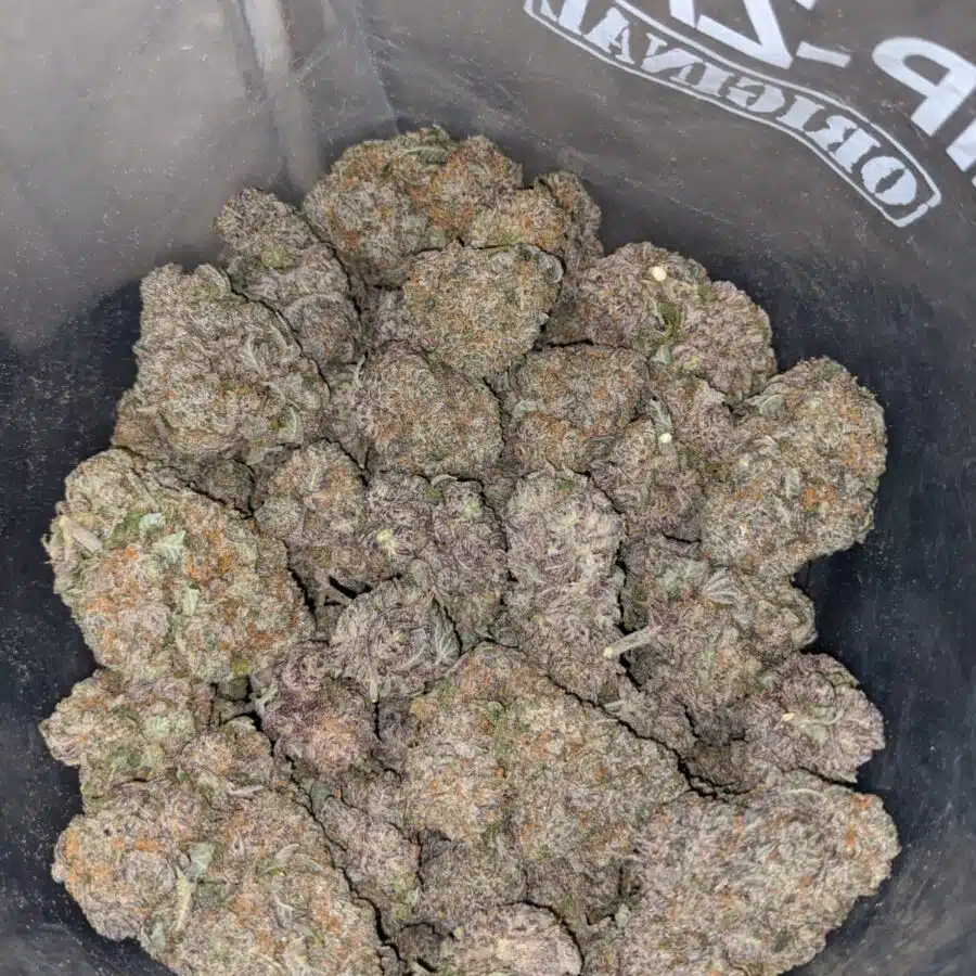 PURPLE HIGH OCTANE 3 I Purple High Octane