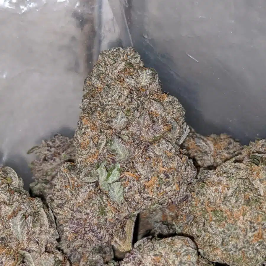 PURPLE HIGH OCTANE 4 I Purple High Octane
