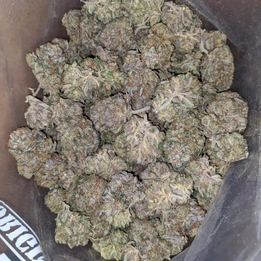 Purple Ice wreck 1 I Purple Ice Wreck