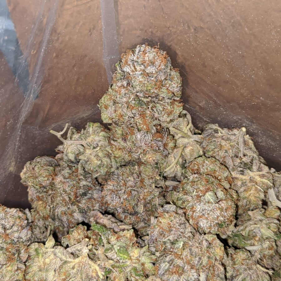Purple Ice Wreck - Image 7