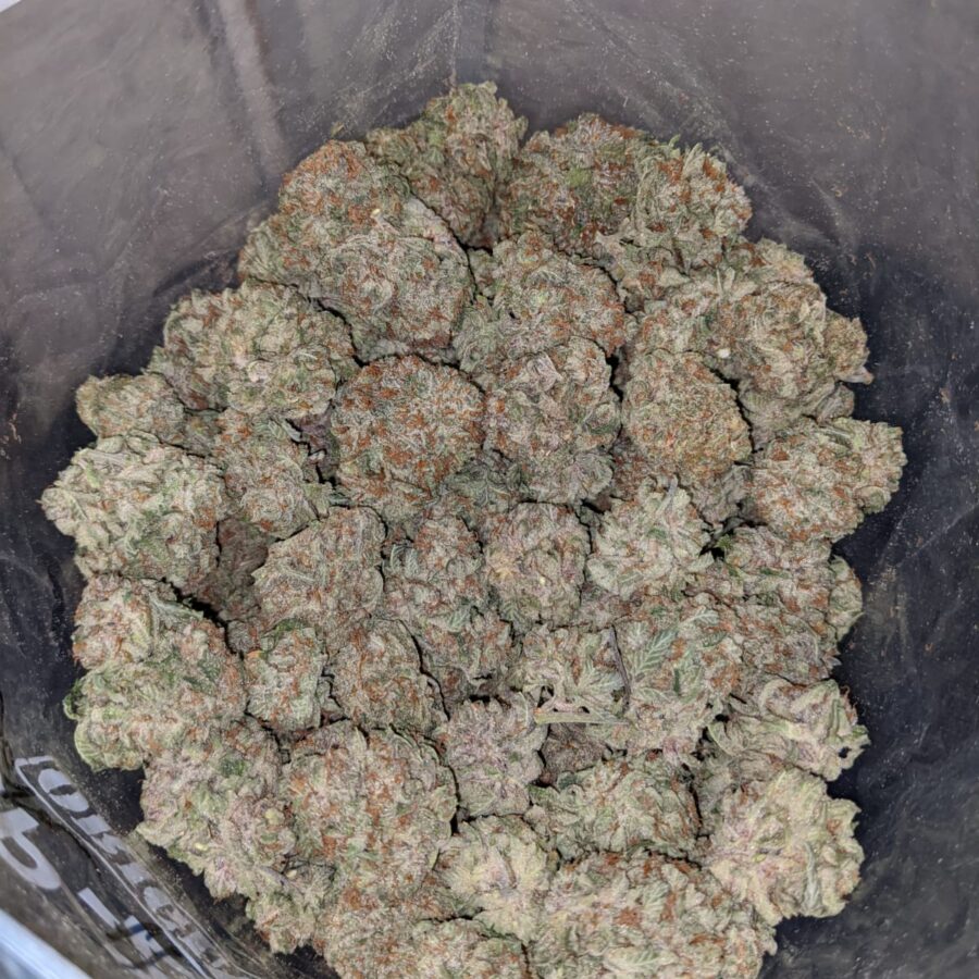 Purple Amnesia Haze