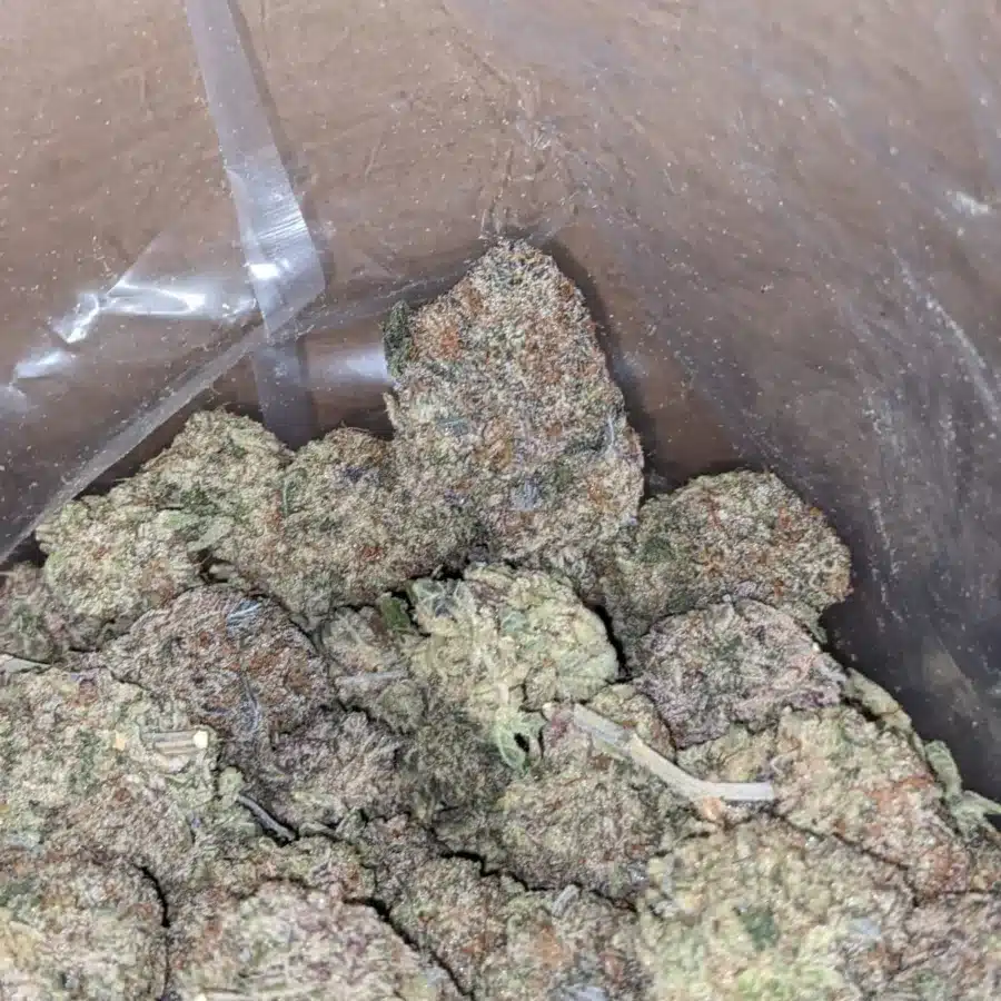 Purple widow 3 I Purple Widow