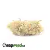 Riddleberry - *Deal Of The Day*