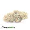 Silver Haze - *Deal Of The Day*