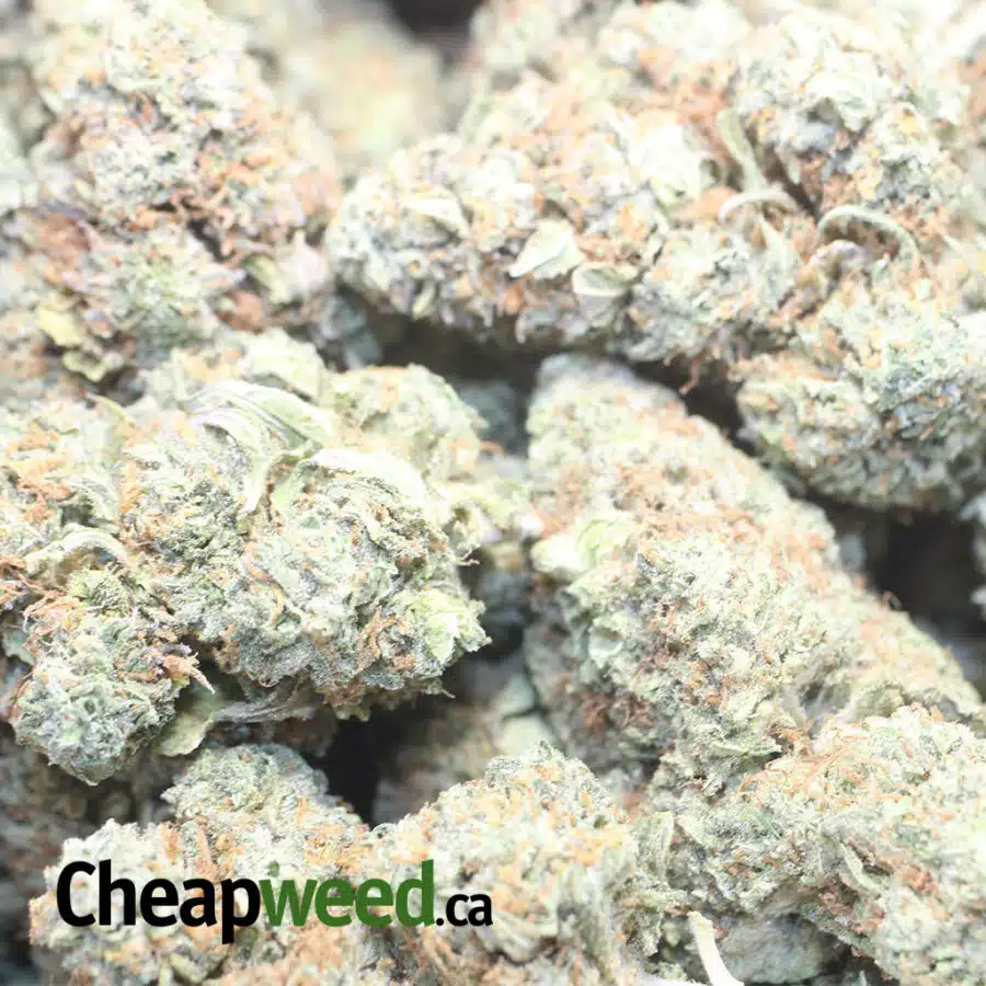 TANG DREAM 1 I $77 Oz -Tangerine Dream