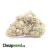 $77 Oz -Tangerine Dream