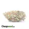 Tony's Lindsay OG - *Deal Of The Day*