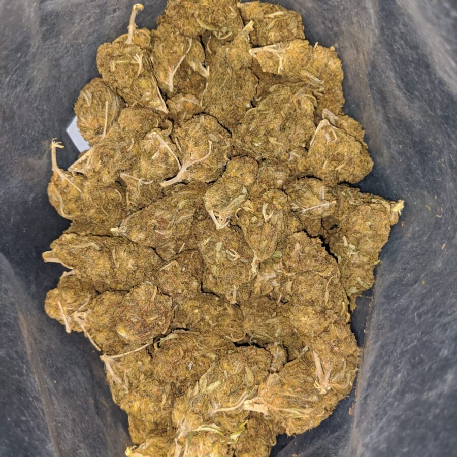 aa black bubba 1 I AA Black Bubba