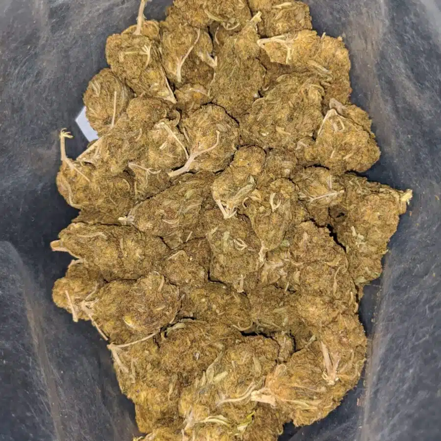 aa black bubba 2 I AA Black Bubba