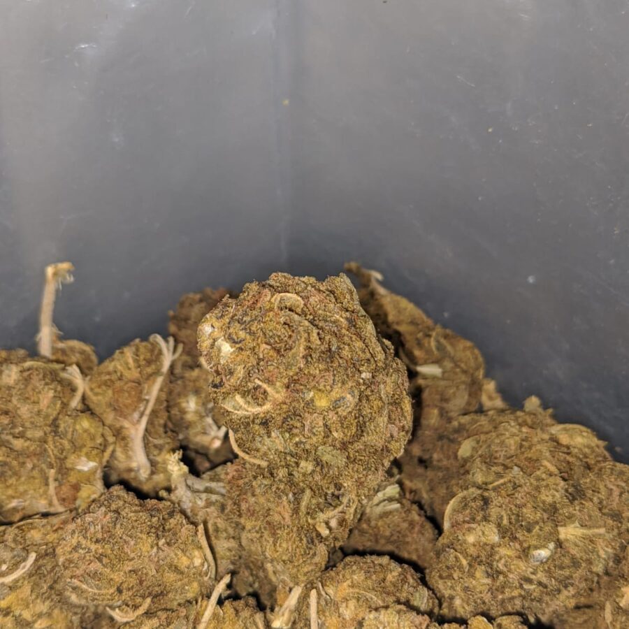 aa black bubba 3 I AA Black Bubba