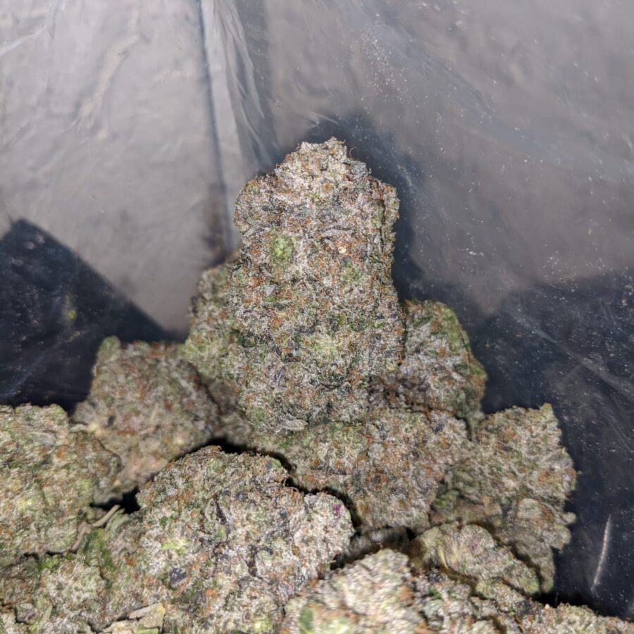 ak 47 4 I AK-47