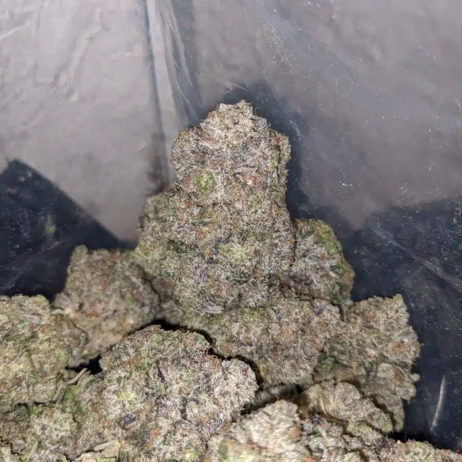 ak 47 4 I AK-47