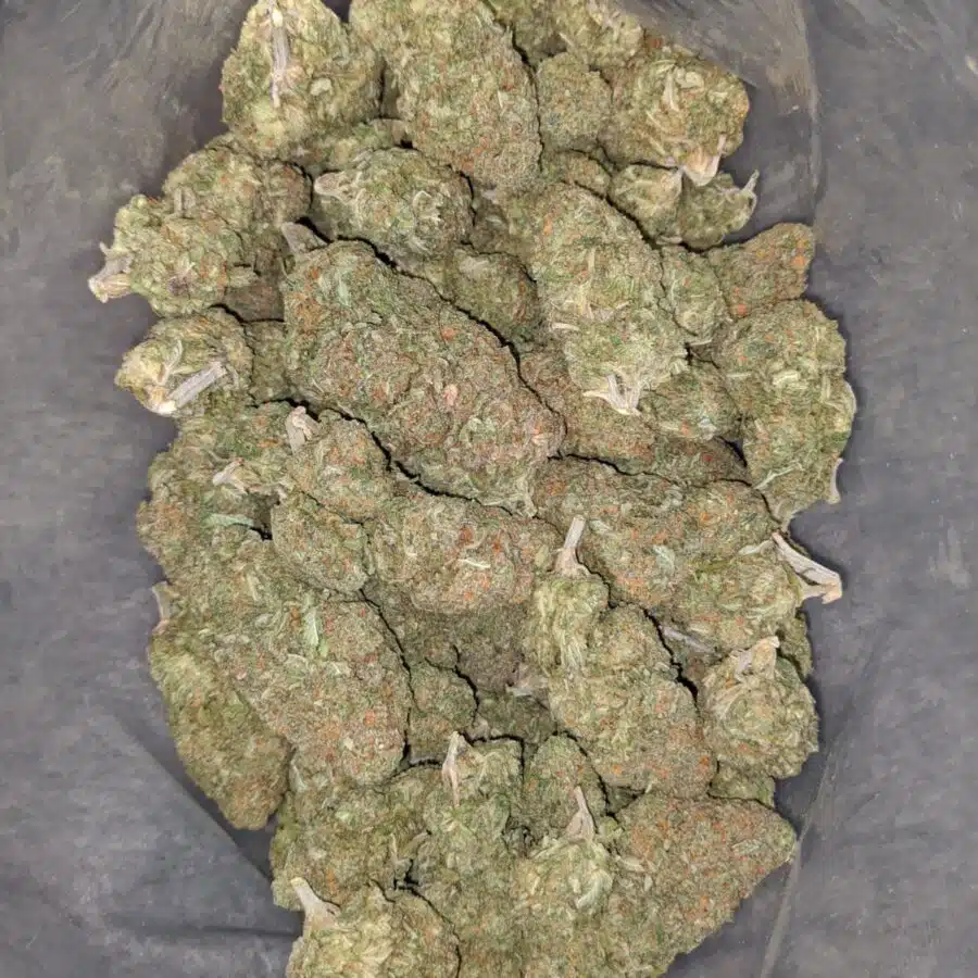 animal cookies 1 I $ 63 Oz - Animal Cookies