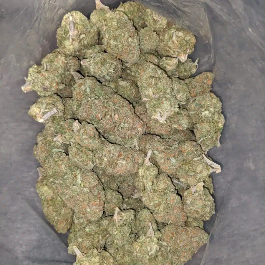 animal cookies 2 I $ 63 Oz - Animal Cookies