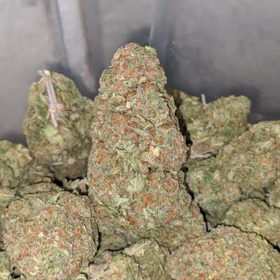 animal cookies 3 I $ 63 Oz - Animal Cookies