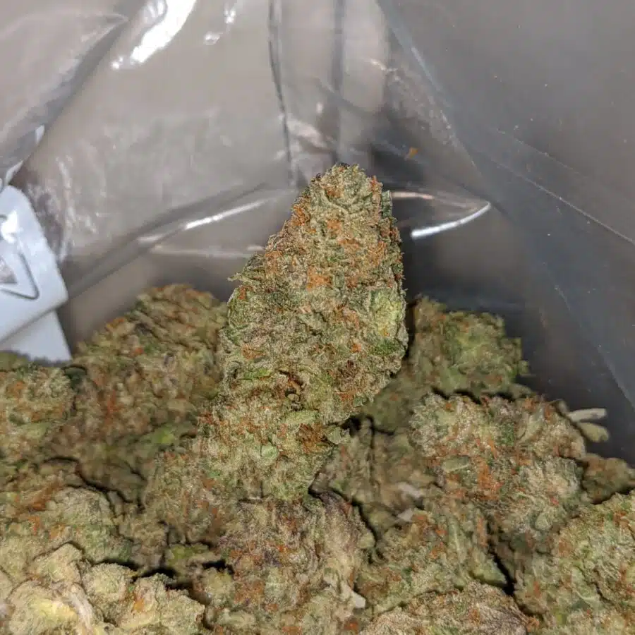 chemdawg 3 I $69 Oz - Chemdawg