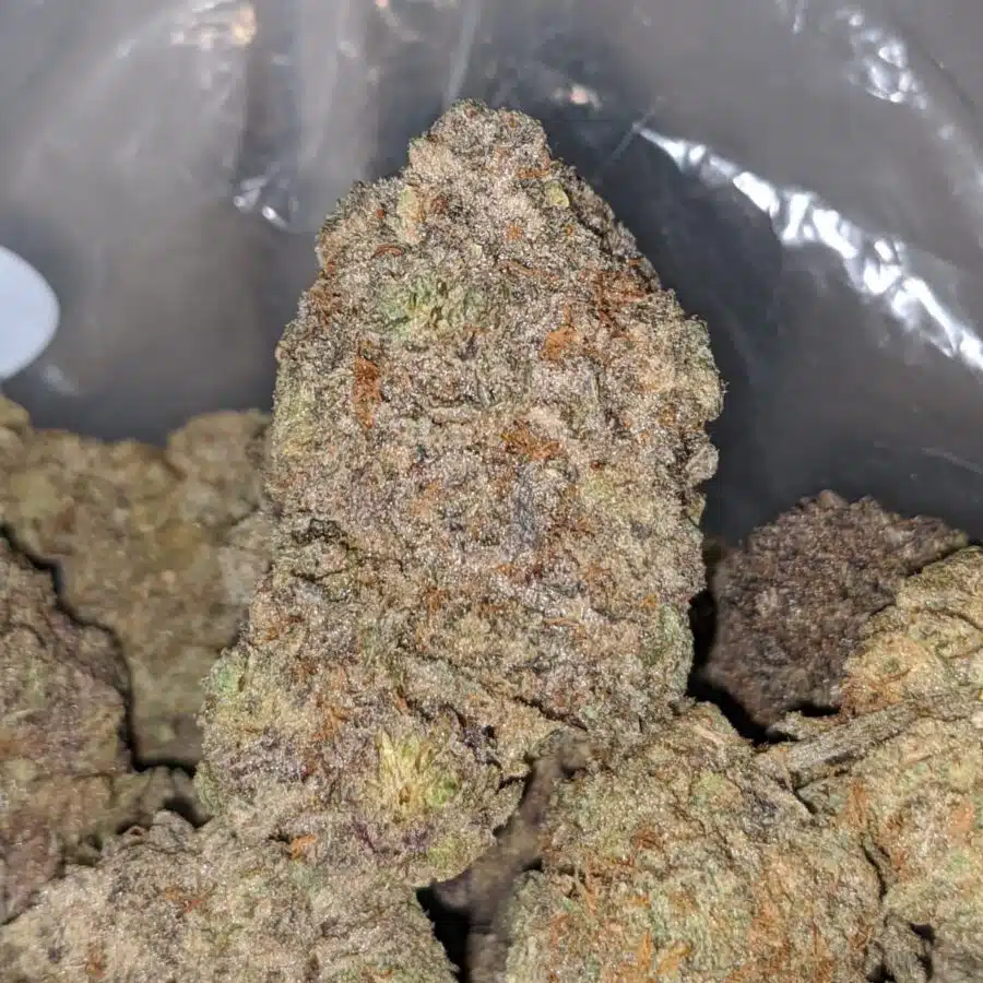 chernobyl deal of the day 1 I Chernobyl - *Deal Of The Day*