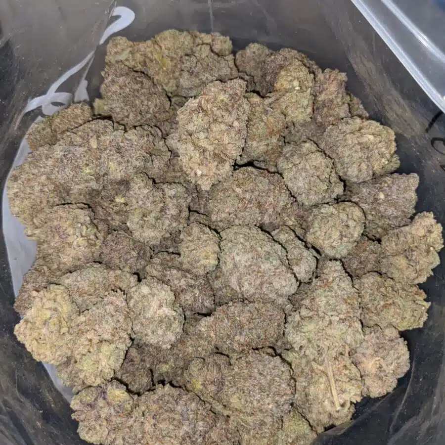 Chernobyl - *Deal Of The Day*