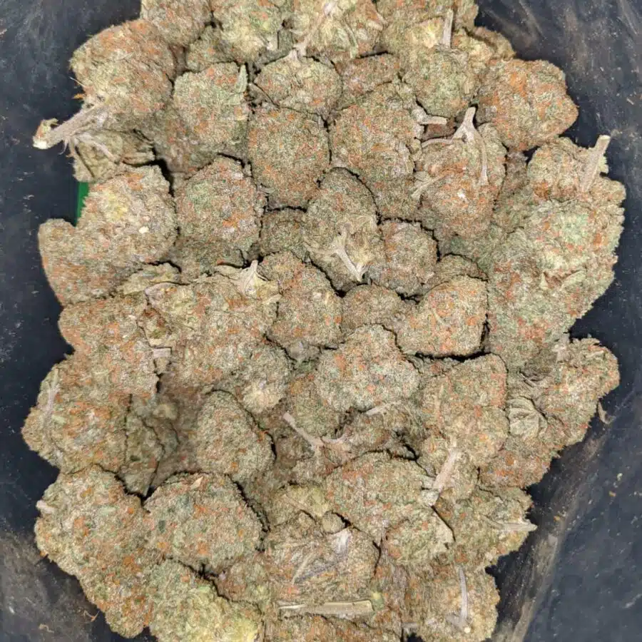 cherry bomb 1 I $ 72 Oz - Cherry Bomb