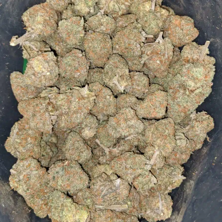 cherry bomb 2 I $ 72 Oz - Cherry Bomb