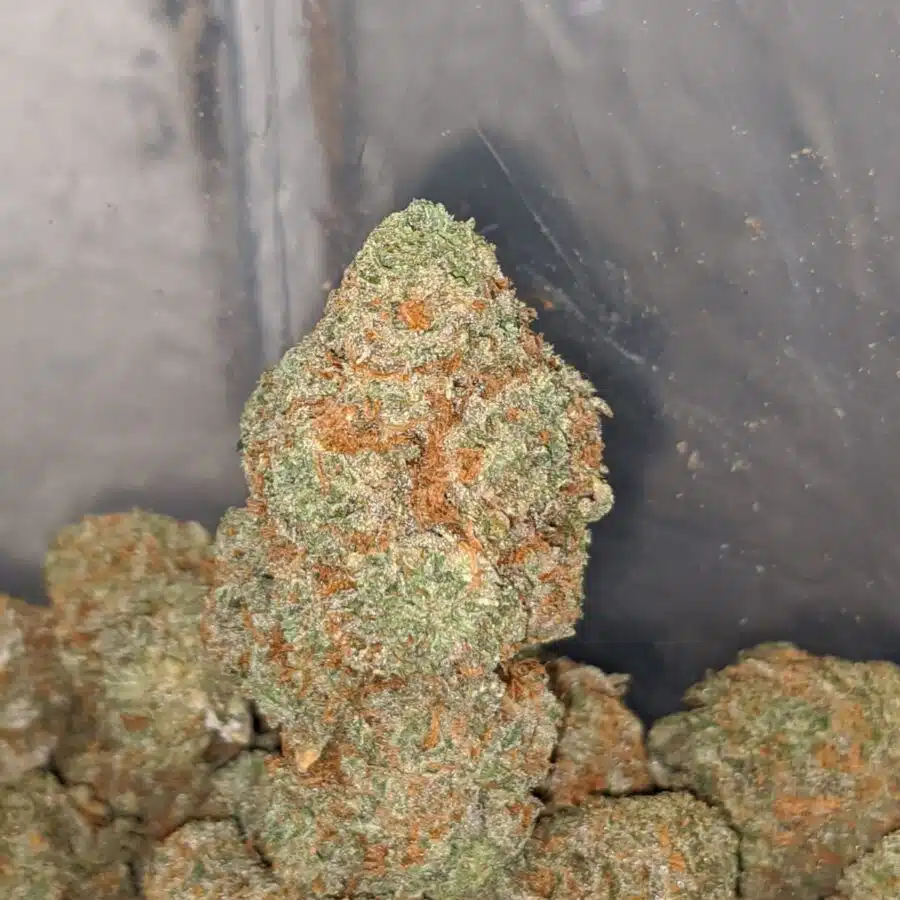 cherry bomb 3 I $ 72 Oz - Cherry Bomb