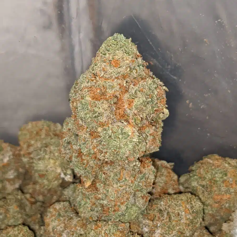 cherry bomb 4 I $ 72 Oz - Cherry Bomb